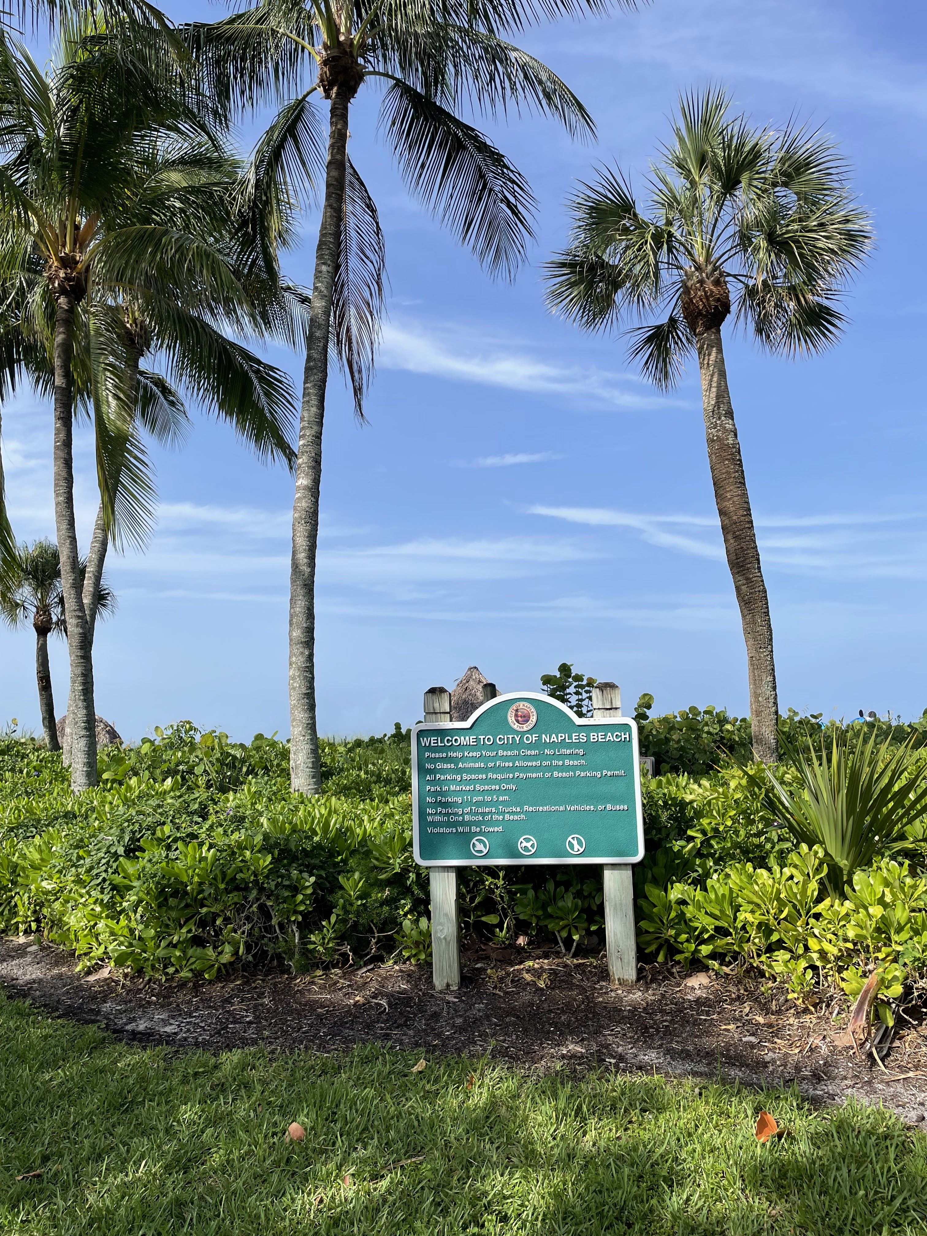 Lowdermilk Park - Picnic pavilion and BBQ facilities by the beach